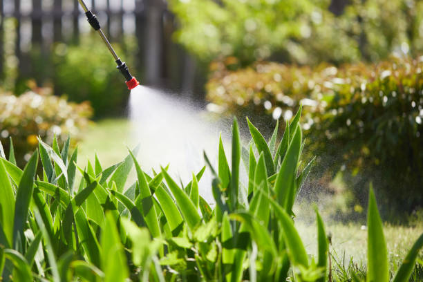 24/7 Emergency Ant Control experts in New Baden, IL