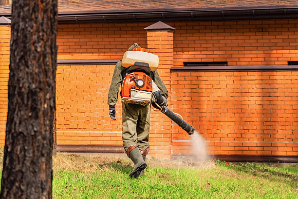 Trusted Termite Control service in New Baden, IL - Nex Pest Control